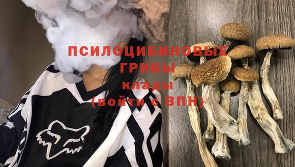 стафф Михайлов