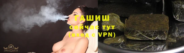 стафф Михайлов
