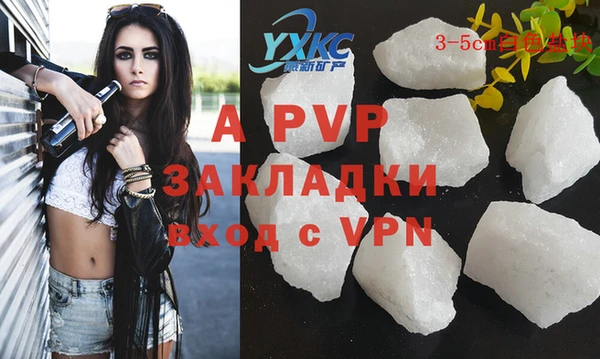 стафф Михайлов