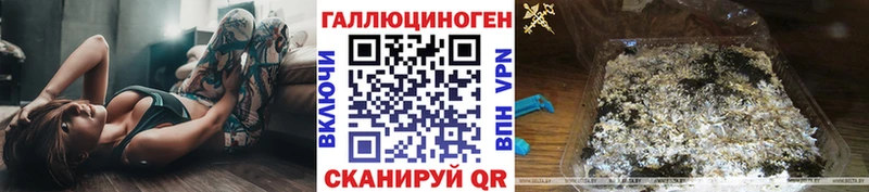кракен как зайти  даркнет сайт  Питкяранта  Псилоцибиновые грибы Psilocybine cubensis 